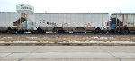 RGCX 8842